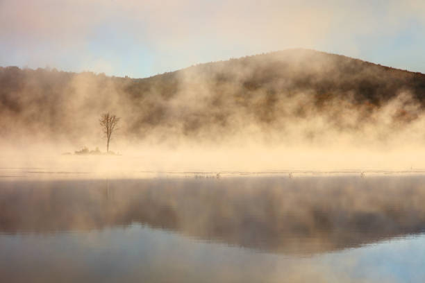 утренний туман на маленьком пруду в клингтон вермонт - killington стоковые фото и изображения