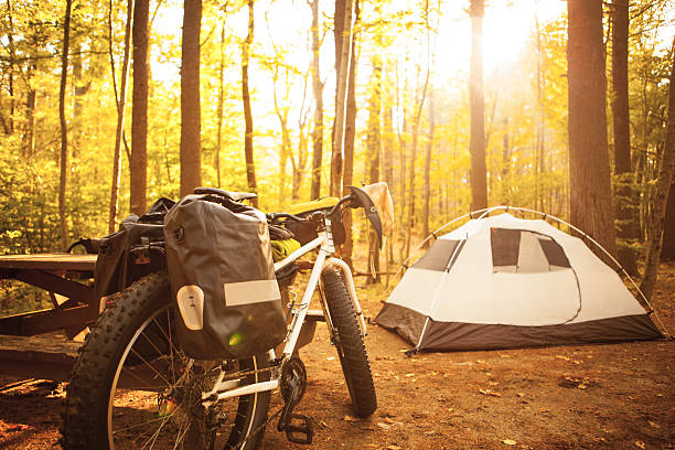 Morning sunlight at a bikepacker campsite. stock photo