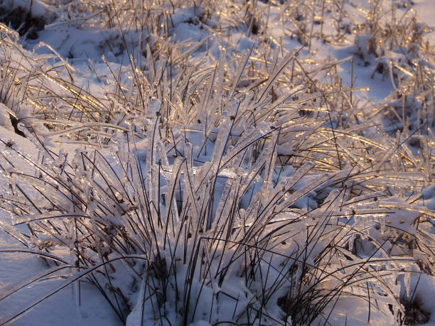 Morning sunlight glistening on the frozen tundra after a freezing rain storm on a hillside moorland near Twmbarlwm in Cwmbran, Wales, UK stock photo