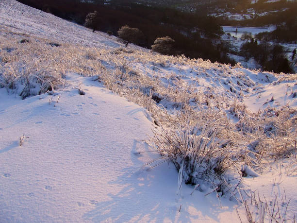 Morning sunlight glistening on the frozen tundra after a freezing rain storm on a hillside moorland near Twmbarlwm in Cwmbran, Wales, UK stock photo