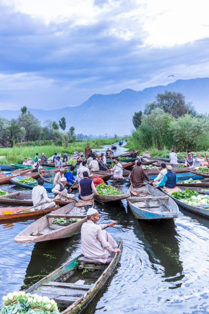 morning vegetable market at inner Dal lake, Sri Nagar, Kashmir Unidentified vegetable vendors sell their produce on their boat  at floating vegetable market - Dal Lake, Sri Nagar, India on June 26, 2018 srinagar stock pictures, royalty-free photos & images