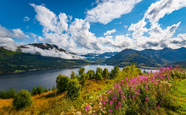 Morning view over Loch Duich stock photo