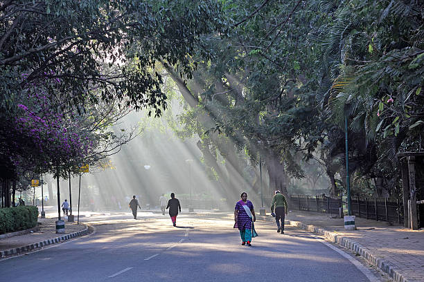 Morning Walkers on a Foggy Morning Bangalore, India - December 16, 2013: Men and women walk along a Bangalore road on a misty and sunny morning. indian women walking stock pictures, royalty-free photos & images
