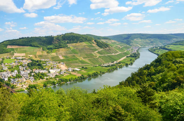 moselle valley niemcy: widok na rzekę mozelę w pobliżu wsi puenderich i zamek marienburg - region winiarski mosel, niemcy europa - sainz zdjęcia i obrazy z banku zdjęć