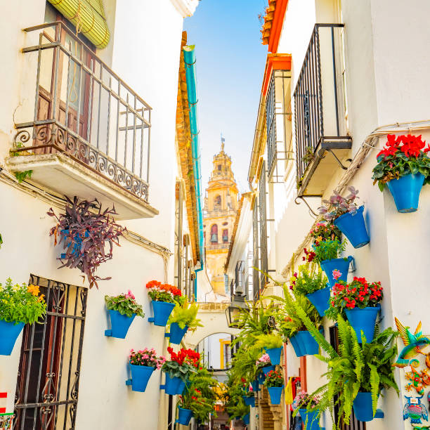 Mosque Cathedral tower and narrow spanish street in Cordoba, Spain Mezquita Tower and narrow spanish street Calleja de las Flores in Cordoba, Spain cordoba spain stock pictures, royalty-free photos & images