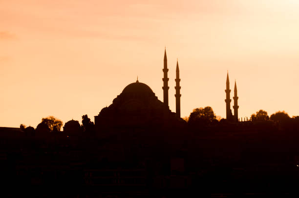 moskee silhouet op gouden hoorn karakoy istanbul turkije - karaköy istanbul stockfoto's en -beelden