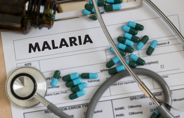 malaria mug zuigen bloed wereld malaria dag zika viruswaarschuwing - malaria stockfoto's en -beelden