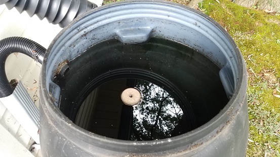 mosquito tablet insecticide floating in rain barrel