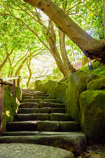 モスや石の階段 - 神社 ストックフォトと画像