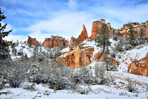 The landscape around Mossy Cave Trail is covered in snow near Bryce Canyon NP, Utah.