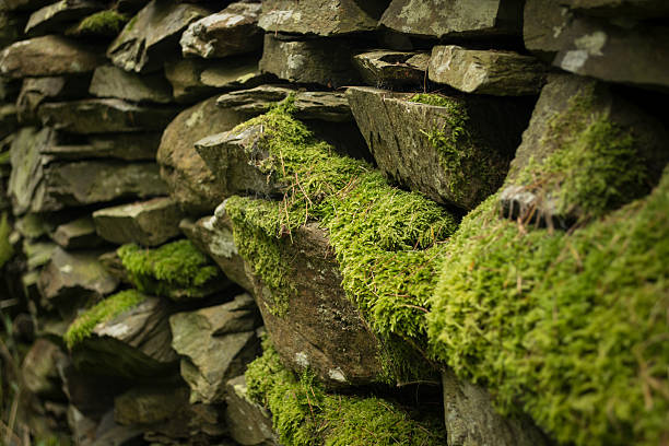 Mossy dry stone Wall stock photo