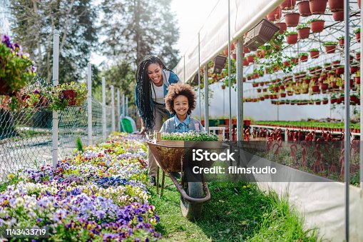 istock Mother And Daughter Gardening 1143433719