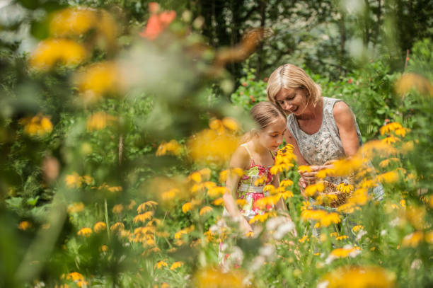 Mother and Daughter Picking Flowers in Summer Garden stock photo