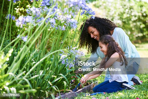 istock Mother and daughter planting flowers in garden 1310289685