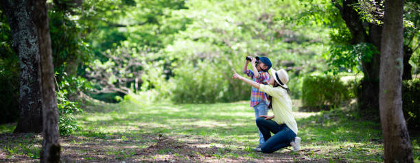 mor och dotter leker med kikare i skogen - fågelskådning bildbanksfoton och bilder