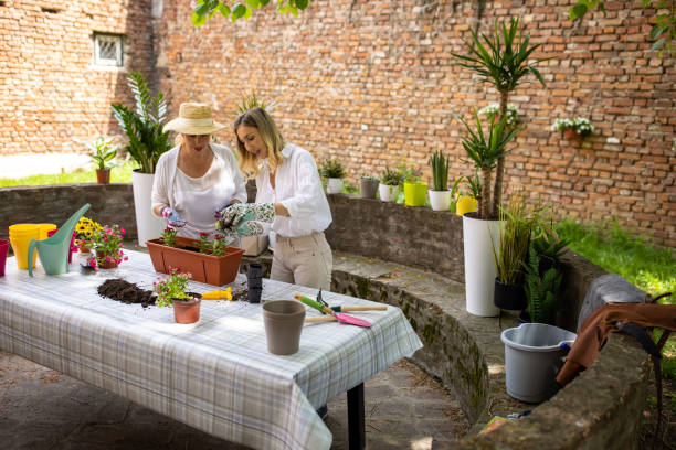 Mother and daughter repotting flowers on beautiful day at backyard stock photo