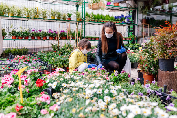 mother and daughter shopping from flower shop mother and daughter shopping from flower shop garden center stock pictures, royalty-free photos & images