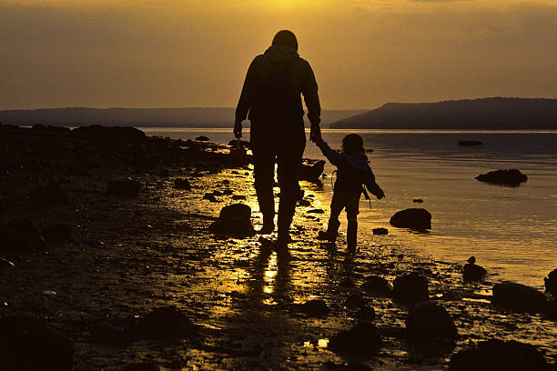 Mother and Daughter Walking on the Beach at Sunset Puget Sound is a special body of water that belongs exclusively to Washington State. From the saltwater marshland of Olympia and Nisqually to the windy Strait of Juan de Fuca and the San Juan Islands, Puget Sound exhibits a quiet beauty that is quintessentially Washington. Puget Sound and its adjacent waters form a vast inland extension to the Pacific Ocean. Its complex network of straits, bays, canals and inlets give Western Washington a distinctive personality. Puget Sound along with its surrounding mountains has a major effect on the region's temperate climate. The area was first visited by Europeans in 1792 with British explorer George Vancouver's expedition. Captain Vancouver gave the region many of the place names which are still in use today. Not only does Puget Sound have a rich history, it also has some of the greatest scenery in the country. Sunsets over Puget Sound can be especially beautiful and an inspiration to photographers. This silhouette picture of a mother and daughter was photographed as the sun set over Puget Sound from Dumas Bay Park near Federal Way, Washington State, USA. jeff goulden puget sound stock pictures, royalty-free photos & images