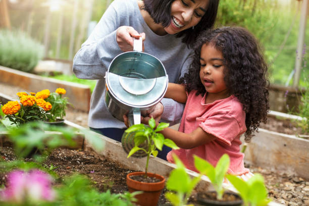 moeder en dochter die ingemaakte installatie bij communautaire tuin water geven - bloem plant stockfoto's en -beelden