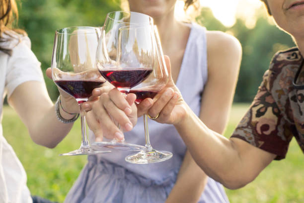 Mother and daughters toasting red wine in a park during a picnic stock photo