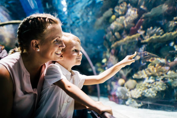 Mother and son watching sea life in oceanarium Fascinated mother and son watching sea life in oceanarium aquarium stock pictures, royalty-free photos & images