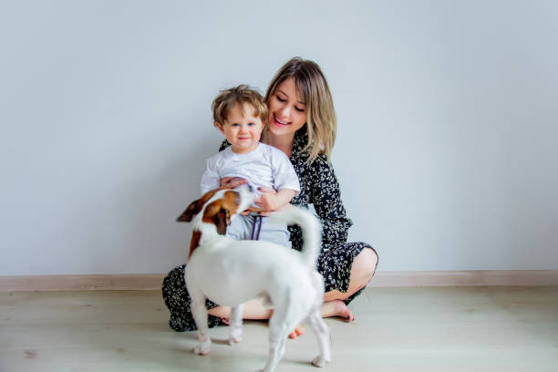 Mother and son with dog sitting on a floor at home. stock photo