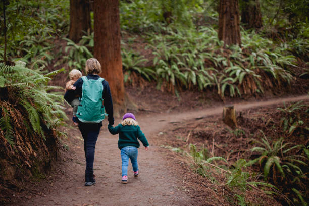 Mother Hiking in Forest with two children stock photo