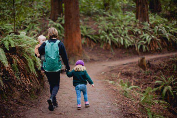 Mother Hiking in Forest with two children stock photo