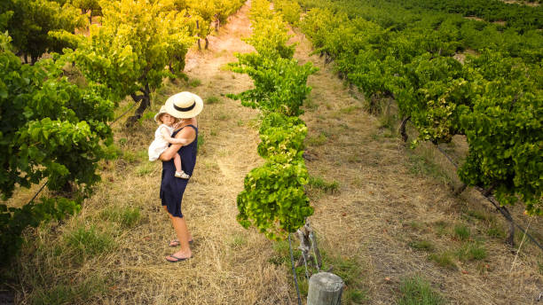 Mother holding and nurturing her baby in the grapevines in Australian Summer in McLaren Vale Wine Country in the harsh sun wearing wide brimmed hat outside at winery stock photo