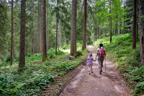 Mother is hiking hand in hand with daughter through forest stock photo