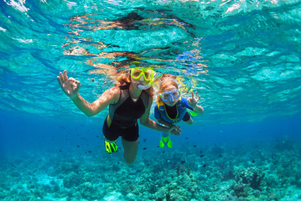 Mother, kid in snorkeling mask dive underwater with tropical fishes stock photo