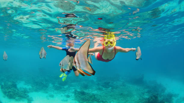 Mother, kid in snorkeling mask dive underwater with tropical fishes Happy family - mother, kid in snorkeling mask dive underwater, explore tropical fishes Platax ( Batfish). Travel lifestyle, beach adventure, swimming activity on summer with child. Focus on fishes snorkeling stock pictures, royalty-free photos & images