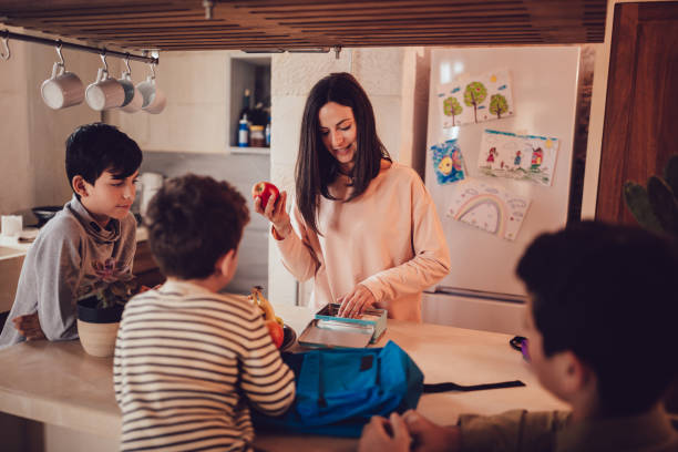 Mother preparing healthy food lunch boxes for children in kitchen Mother preparing lunch boxes with healthy food and snacks for sons before going to school making stock pictures, royalty-free photos & images