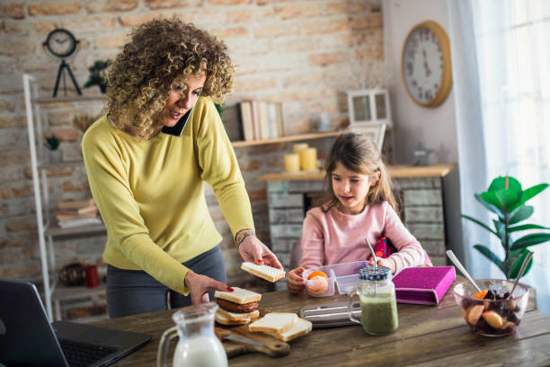 mother preparing lunch for the child in school stock photo