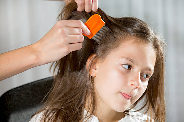 Mother using a comb to look for head lice stock photo