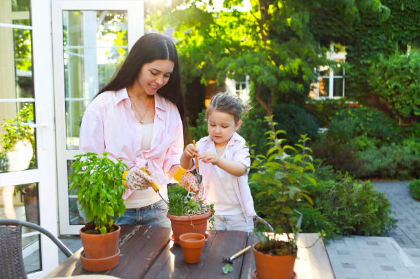 Mother with little daughter having fun and planting flowers in pot with soil together, Mother with little daughter having fun and planting flowers in pot with soil together, daughter taking care of flower in garden at home gardening equipment photos stock pictures, royalty-free photos & images