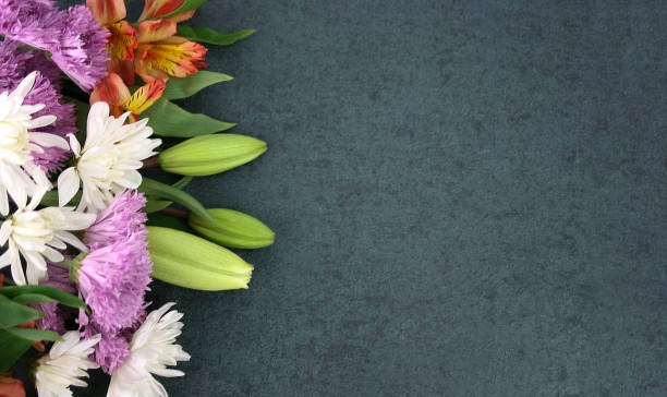 Mother's Day Background with Beautiful Colorful Flowers Over Dark Black Texture, Fresh Spring Flowers Border Shot from Directly Above with Copy Space Mother's Day Background with Beautiful Colorful Flowers Over Dark Black Texture, Fresh Spring Flowers Border Shot from Directly Above with Copy Space, Floral Blossom Bouquet Flat Lay Over Blackboard Texture mothers day background stock pictures, royalty-free photos & images