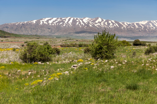 mount-hermon-israel-picture-id175427863?