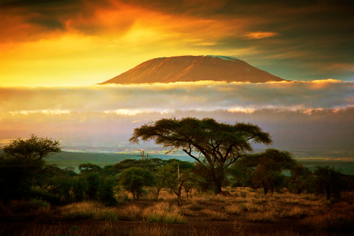 実装キリマンジャロます。Savanna のケニア、アンボセリ - ストックフォト・写真素材...