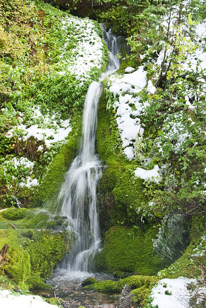 Mossy Waterfall Surrounded by Fresh Snow Mount Rainier's numerous waterfalls are best viewed in early summer as melting snow feeds the streams, and again in autumn as the rains fill the streambeds. During late summer, only the major waterfalls will be flowing. Only a small number of the many waterfalls near Mount Rainier have been named. Whether the falls have names or not, they are a refreshing sight to both the eye and spirit. This waterfall was photographed near Knapsack Pass in Mount Rainier National Park, Washington State, USA. jeff goulden waterfall stock pictures, royalty-free photos & images