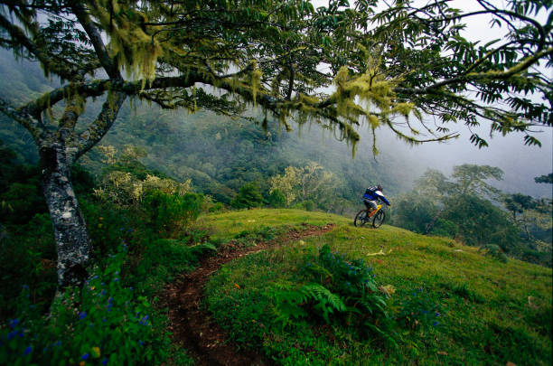 Mountain Bike Costa Rica stock photo