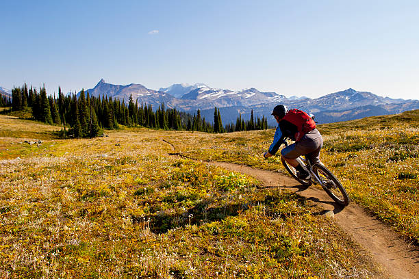 Mountain Bike Rider stock photo