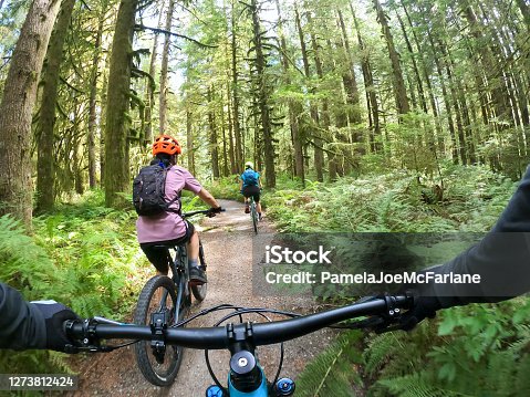 istock POV, Mountain Biker Following Family on Single Track Forest Trail 1273812424
