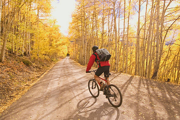 Mountain Biker in Aspens Mountain Biker with Backpack in Gold Autumn Aspens aspen tree stock pictures, royalty-free photos & images