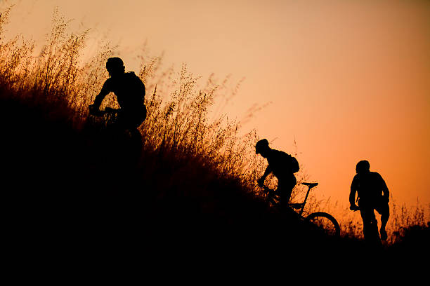 Mountain Bikers stock photo