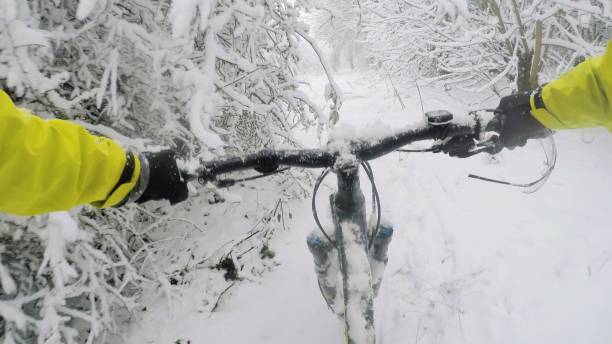 Mountain biking in the snow woods, Oxfordshire in England stock photo