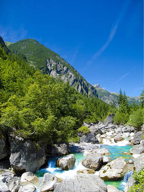 mountain creek clear and clean mountain creek in the european alps lechtal alps stock pictures, royalty-free photos & images