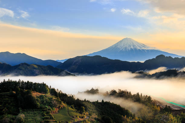 Mountain fuji with mist during dusk time,Japan stock photo