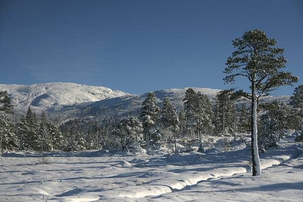 Mountain in winter stock photo