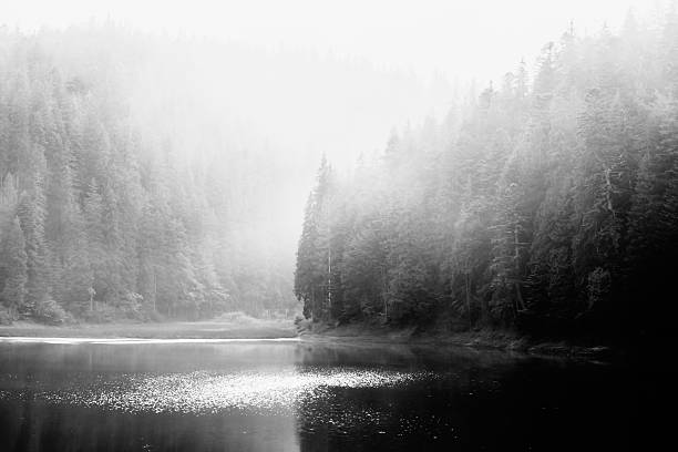 Mountain lake Mountain lake in morning fog silver colored photos stock pictures, royalty-free photos & images